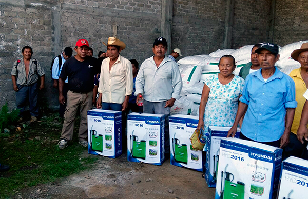 Campesinos de la Cuenca del Papaloapan beneficiados por gestión de Antorcha