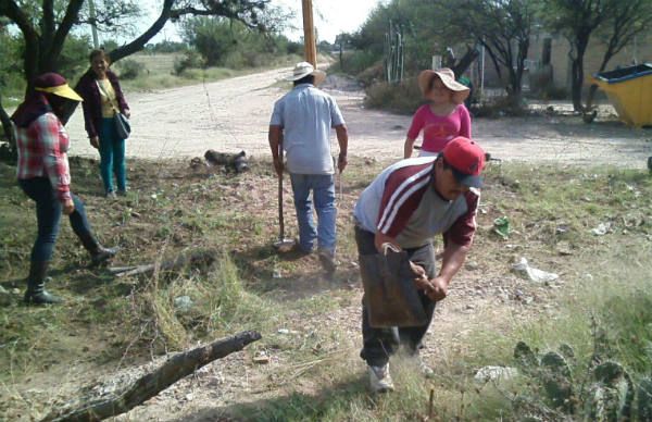 Colonos de Biznaga contribuyen para tener un ambiente limpio