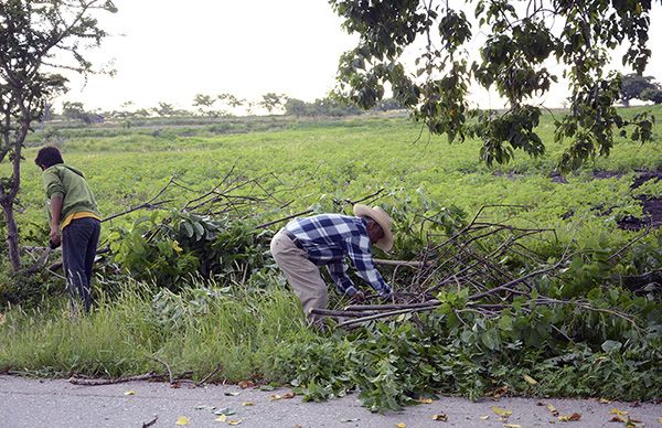 Apoyan a campesinos con empleo temporal