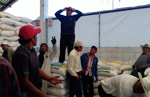 Entregan fertilizante a campesinos de Huamantla