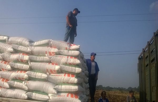 Antorcha lleva insumos para el campo a la sierra de Atoyac