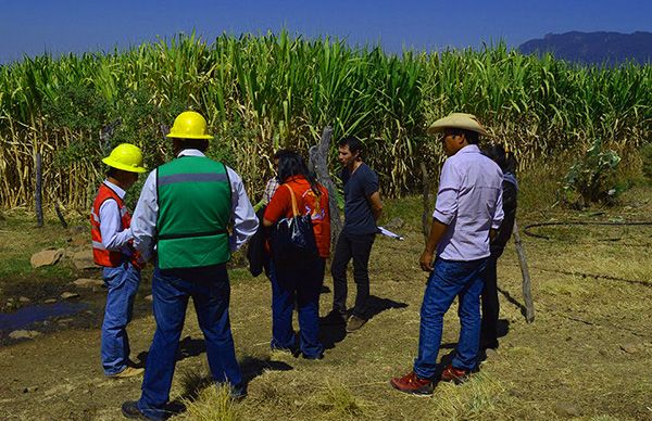 Arrancan trabajos de electrificación en dos zonas de Temascaltepec