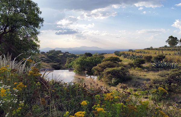 Buscan soluciones al problema del agua en Texcoco, diputados y organizaciones