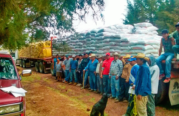 Plenos de Antorcha organizan entrega de fertilizante en Senguio