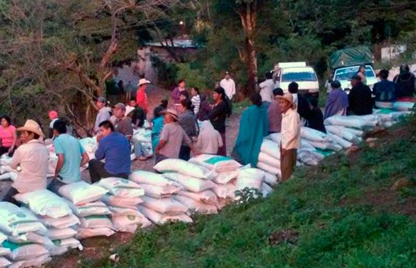 Continúan llegando los insumos agrícolas a campesinos de la zona Centro