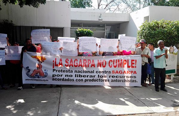 Productores sinaloenses se suman a protesta nacional contra SAGARPA