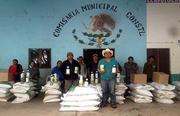 Culmina entrega de insumos agrícolas a campesinos de Copanatoyac