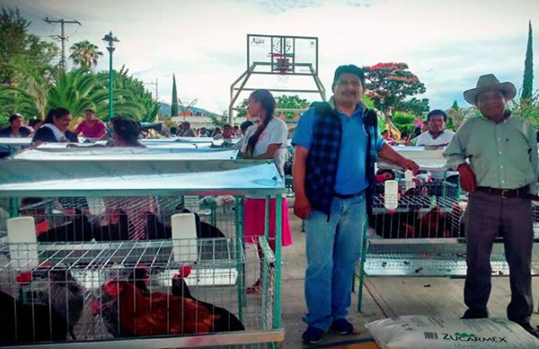 Familias de Teitipac beneficiadas con aves de postura