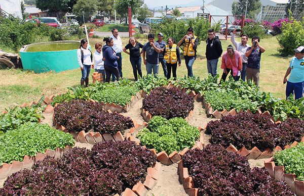 Capacitan a promotores para la instalación de huertos Horta-DIF