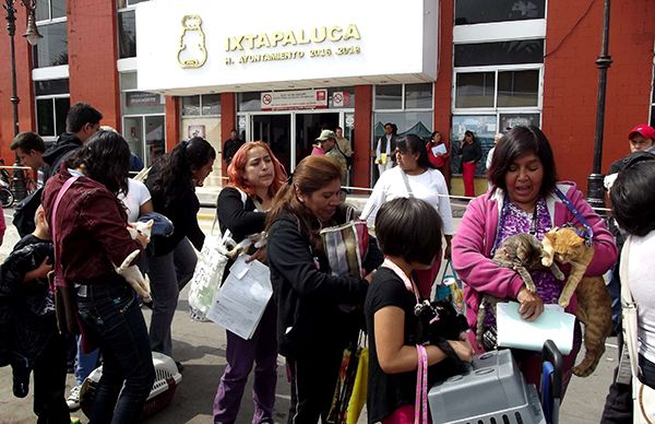 Record en magna campaña de esterilización animal