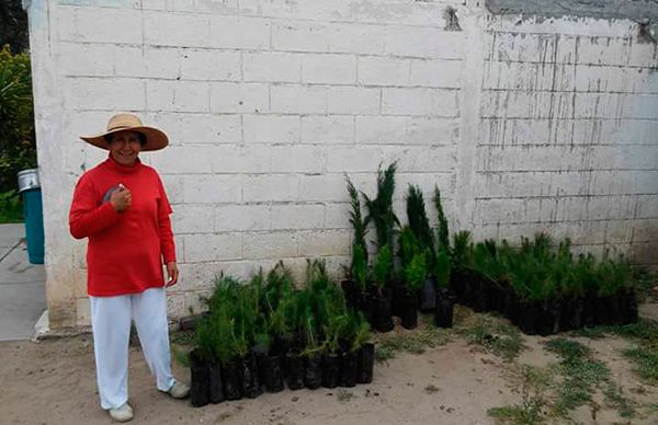  Antorchistas de Cuapiaxtla contribuyen a la reforestación de comunidades