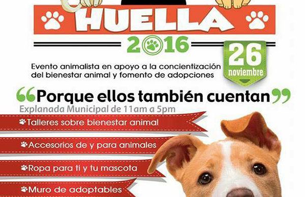 En Ixtapaluca se promueve el bienestar animal