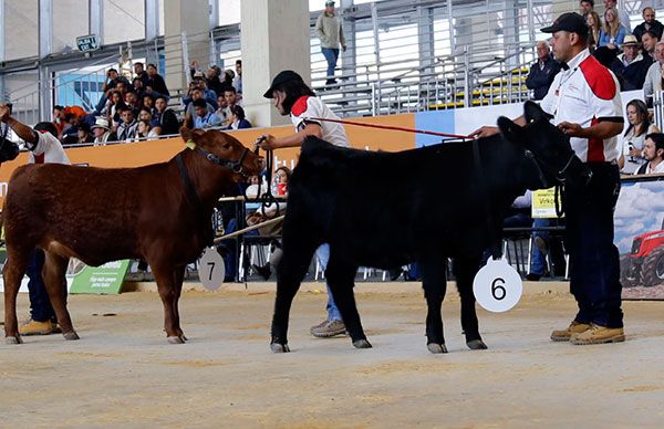 Productores chimalhuacanos participaron en Expo Ganadera 2016