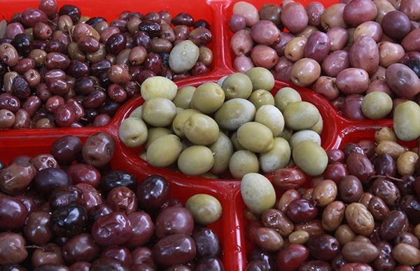 Impulsan producción de aceituna en Chimalhuacán