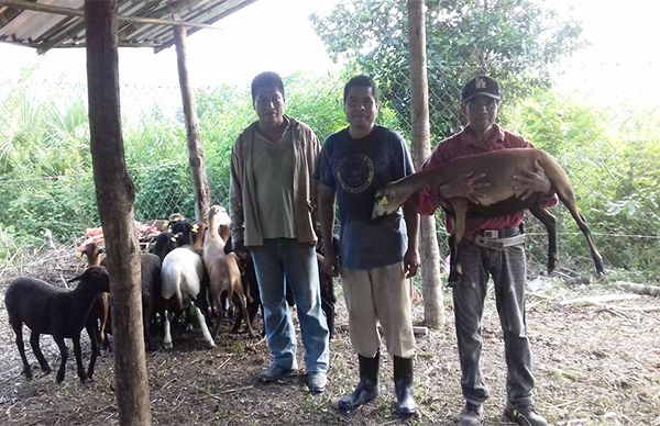 Antorcha logra proyectos ante la CDI para campesinos de la huasteca