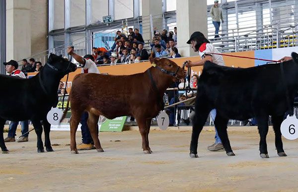 Impulsan desarrollo agropecuario