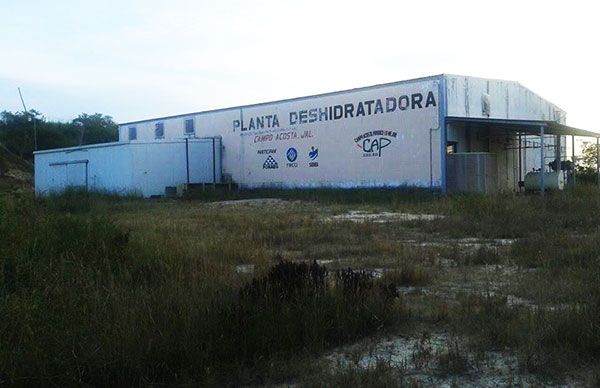 Antorchistas impulsan modernización de planta deshidratadora en Tomatlán