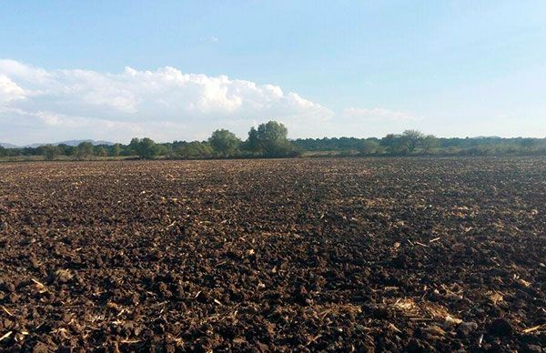 Agricultores demandan apoyos para reactivar el campo hidalguense