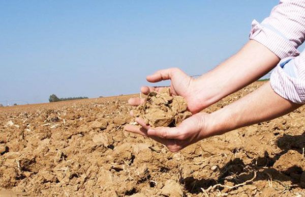 Seder  Jalisco deja a su suerte a pequeños productores