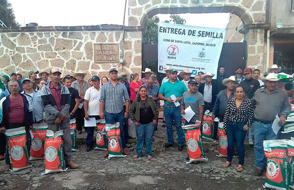 Gestionan semilla de maíz mejorada para campesinos de Zapopan