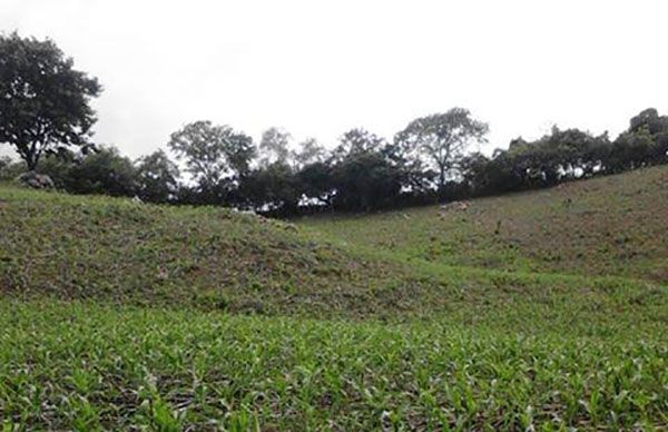 Más apoyos para el campo guerrerense