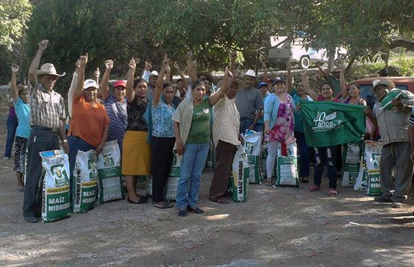 Benefician a  Campesinos de la Sierra de Amula  con semilla  mejorada