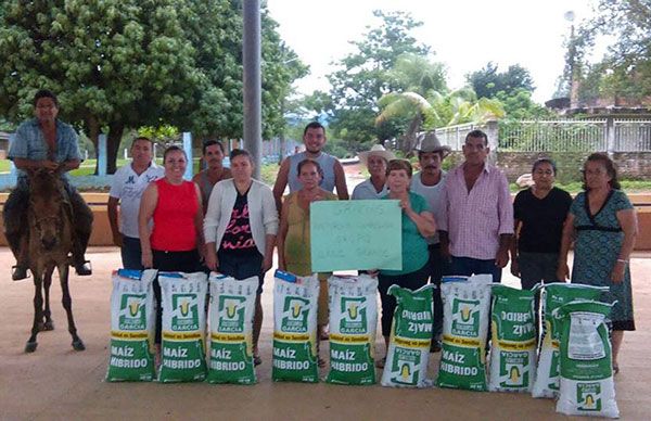  Entregan semillas de maíz mejoradas a productores de la Costa Norte