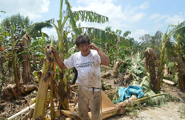 Gobierno de Veracruz abandona a campesinos devastados por el huracán Franklin