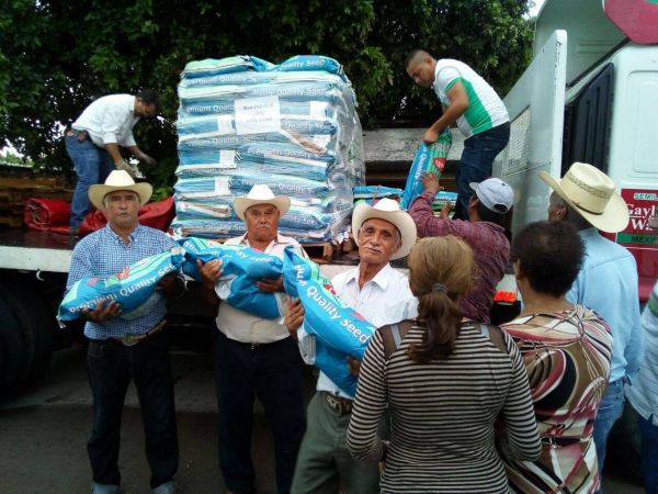 Productores de temporal son beneficiados con semilla de sorgo