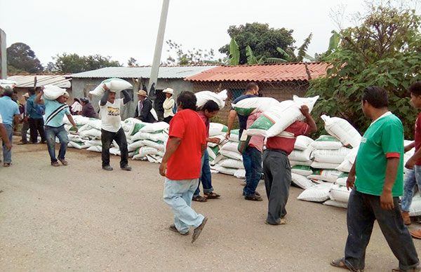 Apoyan con insumos a más de 300 campesinos de José Joaquín de Herrera