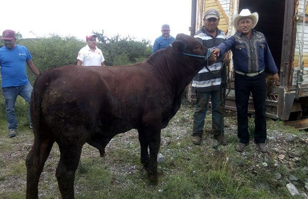 Antorcha apoya a pequeños productores del Altiplano