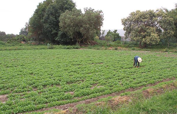 Ejidatarios piden intervención del gobernador potosino en conflicto agrario