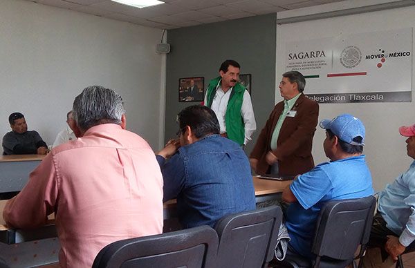  Recortes presupuestales y cambio de reglas de operación afectan el campo tlaxcalteca