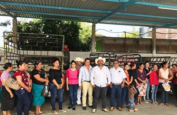 Antorcha beneficia con ganado a familias de Zirándaro de los Chávez