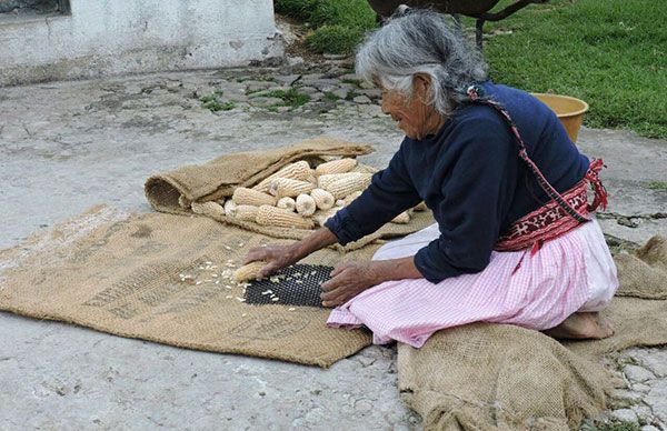 Reportaje especial: Campesinos sobreviven de milagro; 70 mil realizarán marcha el 22 de febrero en Toluca