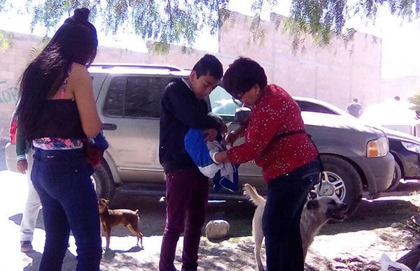 Promueven campaña antirrábica en colonias marginadas 