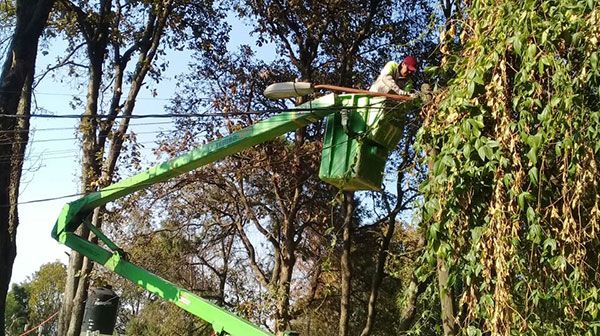 Antorcha logra el mantenimiento de luminarias en San Ignacio Tlachiultepec, Xochimilco