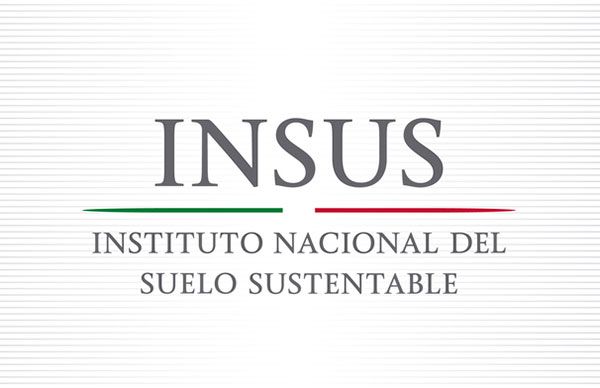 Por 20 años, INSUS mantiene sin regularización a la colonia Lázaro Cárdenas