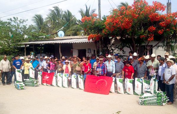 Pequeños productores de Tomatlán reciben semilla mejorada   