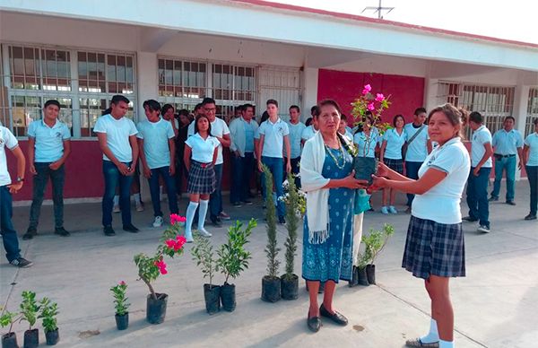 La preparatoria Felipe Bachomo recibe donación de plantas de ornato