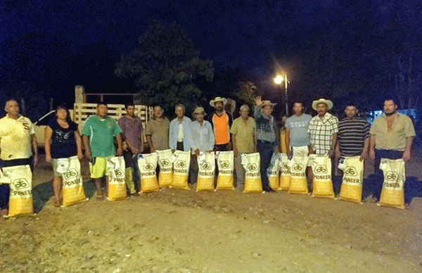 Más semilla de maíz para productores de Zirándaro