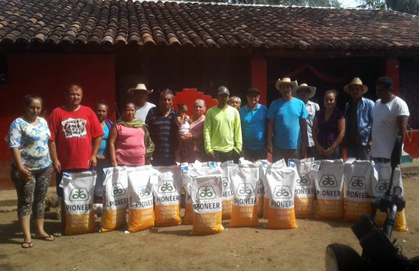 Semilla mejorada de maíz beneficia a campesinos de Zirándaro