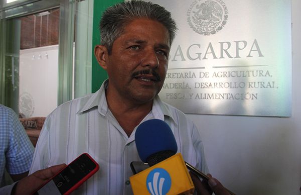 En riesgo producción de maíz para pequeños productores de Veracruz: denuncia Antorcha