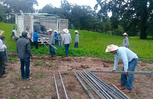 Invernadero en Soledad y la Silla en Mezquital