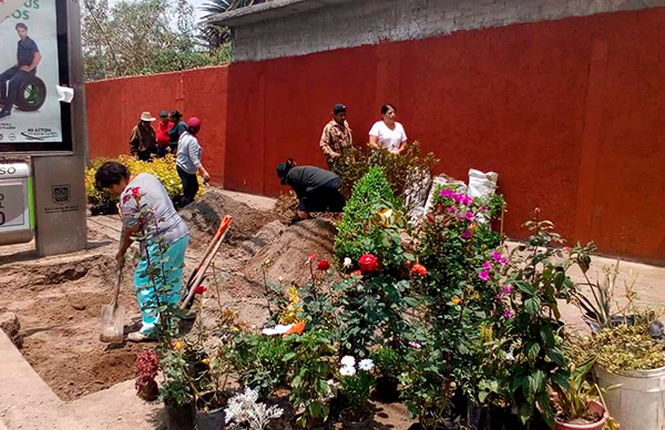 Antorchistas embellecen el predio Rojo Gómez con un  hermoso y colorido jardín