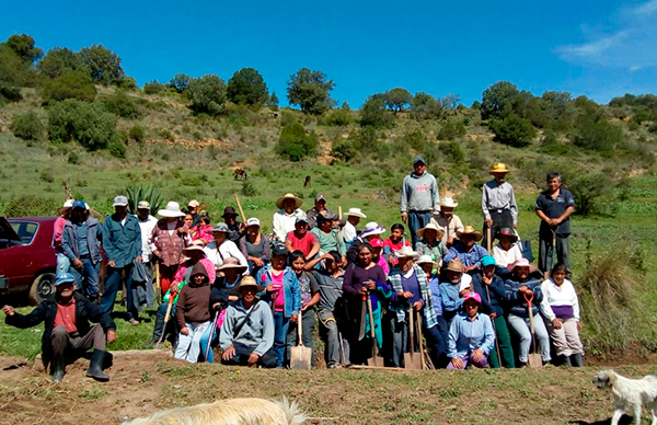 Se benefician habitantes de Panotla con empleo temporal