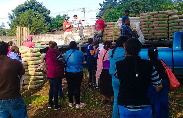 La lucha organizada en Ario de Rosales logra 70 toneladas de cemento