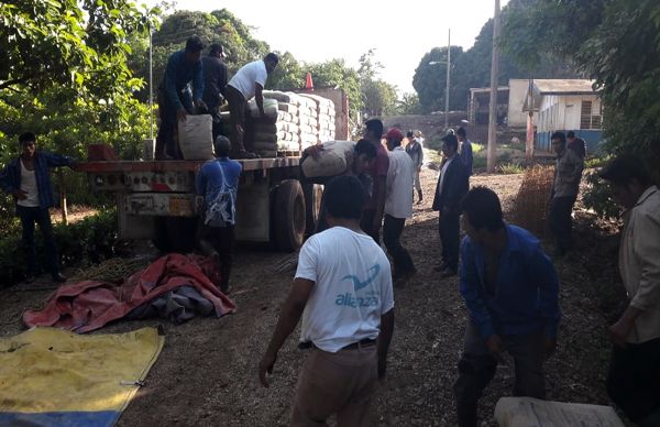 Entrega Antorcha paquetes de acciones a la vivienda en Mecayapan.