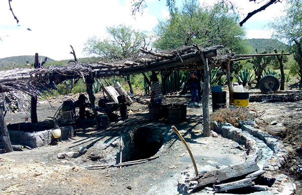 Productores de mezcal en Mexquitic, un oficio ancestral 