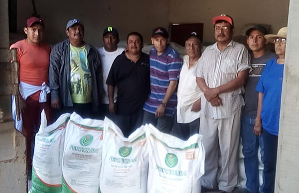 Fertilizante para campesinos de Coyuca de Catalán, logro de Antorcha